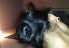 Young girl is masturbating leia porn pussies in the car