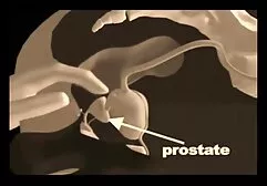 Beautiful blonde blowjob on camera hot porn actress