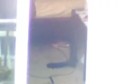 Girl ask guy, I didn't fuck her in the ass, he constantly watching porn and always wanted to try anal. If You want a lot of, try shu qi porn