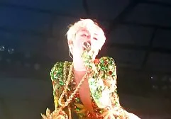 Gay porn star video Vietnam